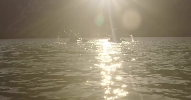 Каяк Грести Замедленной Съемки Kayaker Женщина Мужчина Каяки Красивом Ландшафте — стоковое видео