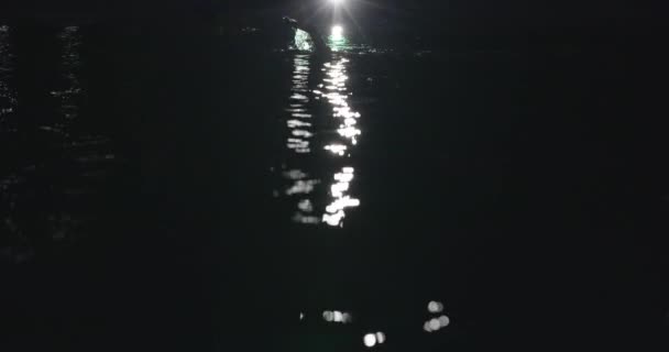 Triathlon athlete swimming in dark night wearing wetsuit — Stock Video