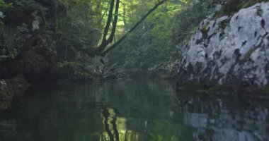 Kano yavaş çekimde kürek çekiyor. Kanocu kadın ve erkek arkadaşlarıyla güzel bir arazide kayak yapıyor. Kayakçılar gölde bir kanoyla spor yapıyorlar. Yaz boyunca su sporları. Yüksek kalite 4k görüntü