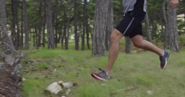 Male athlete running through the forest. An active young man having an intense jogging workout. — Video