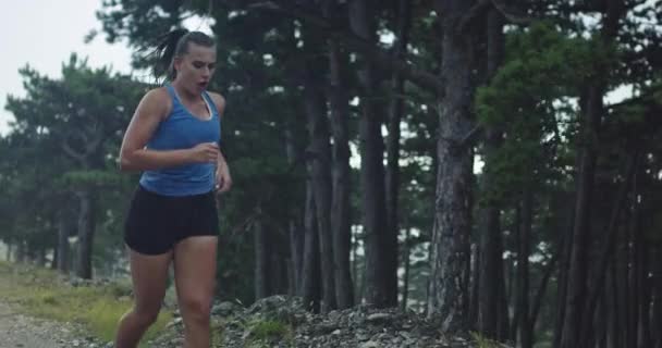 Strzał w zwolnionym tempie młodej kobiety w sportowej odzieży biegającej przez wiecznie zielony las na wiejskiej drodze podczas ulewnego deszczu. — Wideo stockowe