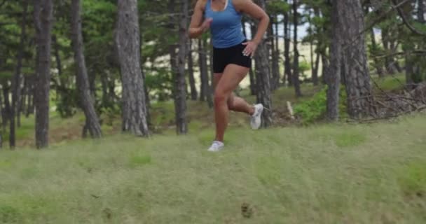 Жінка-спортсменка біжить через ліс. Активна молода жінка має інтенсивне тренування . — стокове відео