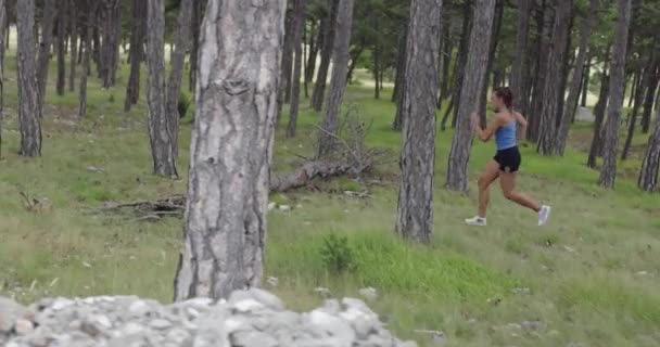 Uma atleta a correr pela floresta. Uma jovem ativa tendo um treino intenso. — Vídeo de Stock