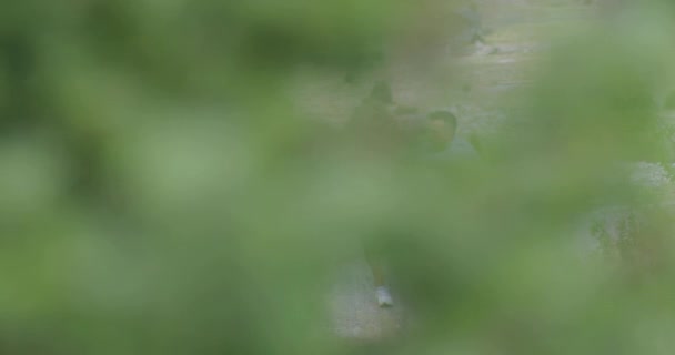 Revelar tiro em câmera lenta de um determinado casal de atletas que se alongam juntos, aquecendo e se preparando para o treinamento de corrida em uma estrada panorâmica. — Vídeo de Stock