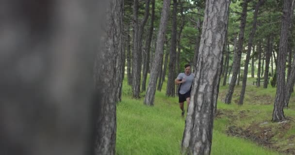 Біжить людина на відкритому повітрі. Чоловічий бігун біжить у лісі . — стокове відео