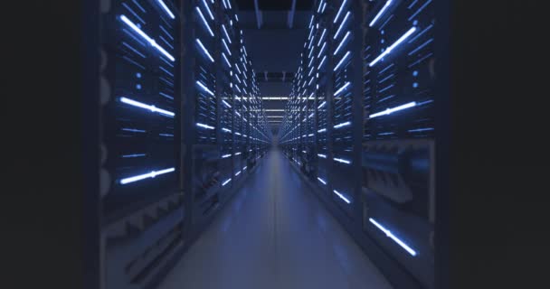 Data Center Computer Racks In Network Security Server Room or Cryptocurrency Mining Farm — Wideo stockowe