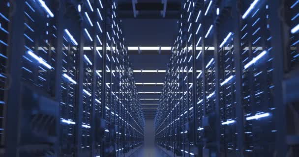 Data Center Computer Racks In Network Security Server Room or Cryptocurrency Mining Farm — Video Stock