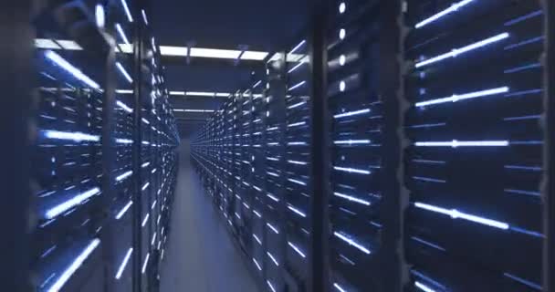 Data Center Computer Racks In Network Security Server Room or Cryptocurrency Mining Farm — Stockvideo