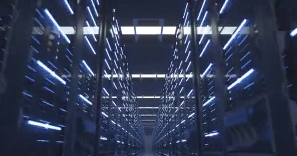 Data Center Computer Racks In Network Security Server Room or Cryptocurrency Mining Farm — Wideo stockowe