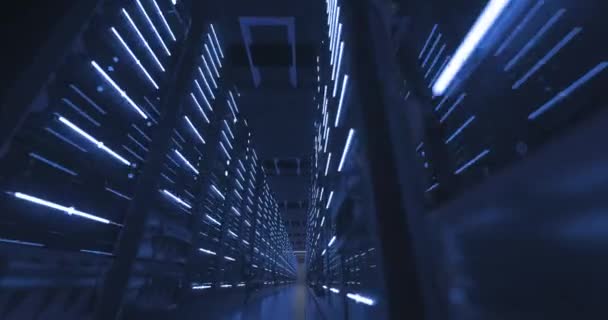 Data Center Computer Racks In Network Security Server Room or Cryptocurrency Mining Farm — Video Stock