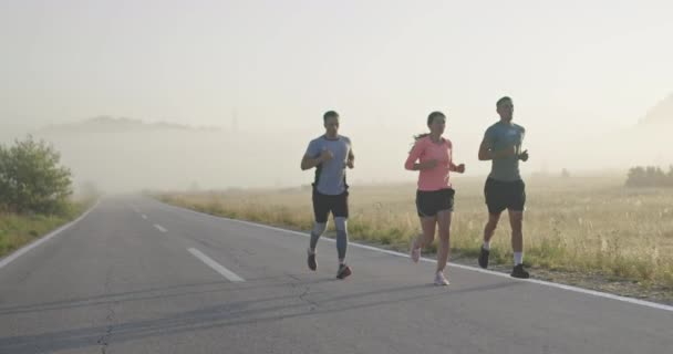 Wieloetniczna Grupa Sportowców Biegających Razem Panoramicznej Wiejskiej Drodze Zróżnicowany Zespół — Wideo stockowe