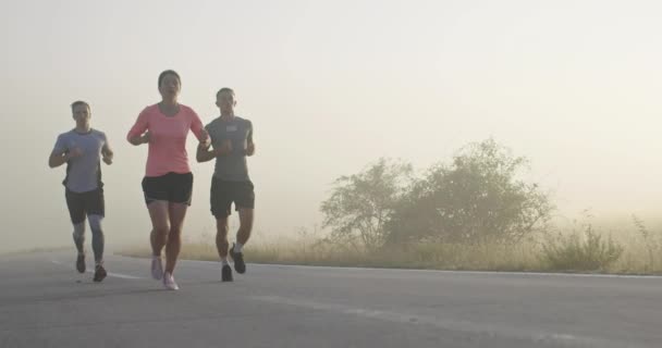 多种族的运动员在全景乡间道路上共同跑步 不同的慢跑队在早上的训练 高质量的镜头 跟踪射击慢动作 — 图库视频影像