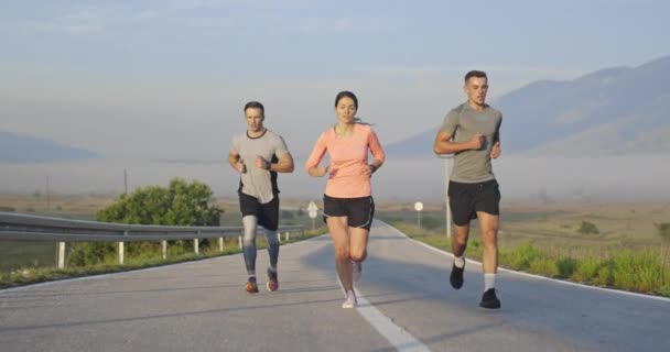 Grupo Multiétnico Atletas Correndo Juntos Uma Estrada Panorâmica Campo Equipe — Vídeo de Stock