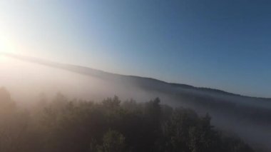 Hava FPV İHA 'sı sisli ormanda sabah sisli havada uçuyor.. 
