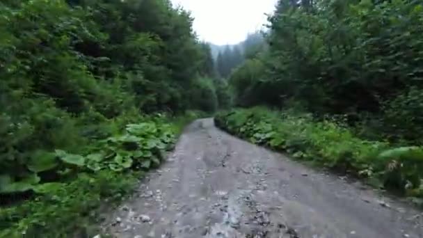 Fpv vuelo aéreo en barbecho disparo sobre un camino de campo en el bosque brumoso en la montaña. — Vídeos de Stock