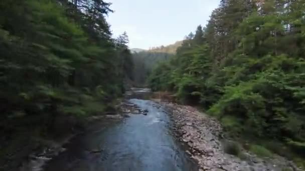 FPV空中拍摄动态飞行在自然景观河流峡谷的茂密的绿色森林和快速移动。从fpv直升机低音场景拍摄. — 图库视频影像