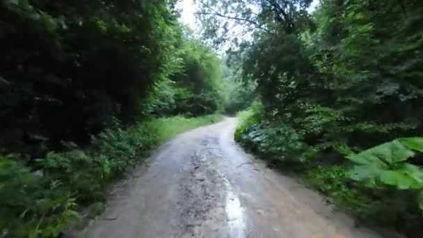 Fpv voo vacilante aérea disparou sobre uma estrada rural na floresta enevoada na montanha. — Vídeo de Stock