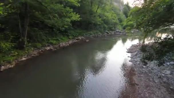 FPV鬱蒼とした緑の森と急速な動きで、自然の風景川の峡谷で空飛ぶダイナミックなショット。fpvヘリコプターからの撮影低キーの風景. — ストック動画