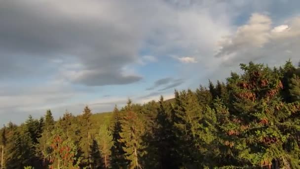 Luchtfoto hoge snelheid sport fpv drone vliegen over natuurlijke berg klif omgeven Verbazingwekkende natuur rotsachtig terrein met groene vegetatie bij zonsondergang of zonsopgang. — Stockvideo