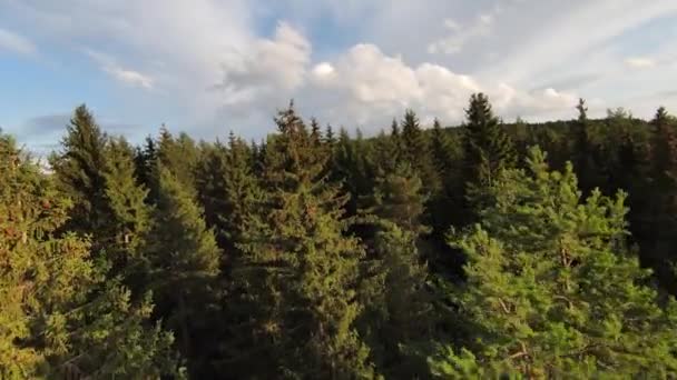 Aerial cineastische Aufnahme High-Speed-Sport fpv Drohne fliegen über natürliche Bergklippe umgeben von atemberaubender Natur felsiges Gelände mit grüner Vegetation bei Sonnenuntergang oder Sonnenaufgang. — Stockvideo