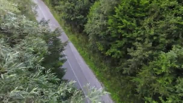 Fliegende fpv Luftaufnahme über einer Landstraße im nebligen Wald im Gebirge. — Stockvideo