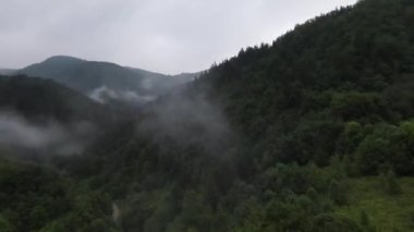 Sisli ormandaki ağaçların tepelerinde son derece yakın uçuş. Fpv spor insansız hava aracı yeşil doğa vadisi manzarası ve dağ yamacı. Dinamik yüksek hızlı sinematik görünüm. 