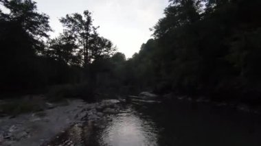 FPV Aerial yoğun yeşil orman ve hızlı hareket içinde doğal peyzaj nehir kanyonunda uçan dinamikleri çekti. Fpv helikopterinden çekiliyor..