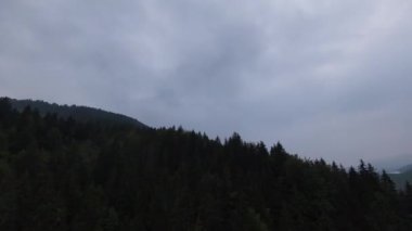 Sisli ormandaki ağaçların tepelerinde son derece yakın uçuş. Fpv spor insansız hava aracı yeşil doğa vadisi manzarası ve dağ yamacı. Dinamik yüksek hızlı sinematik görünüm. 