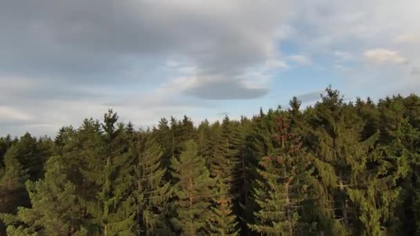 Aerea ripresa cinematografica ad alta velocità sport fpv drone volare sopra falesia naturale di montagna circondato Incredibile natura terreno roccioso con vegetazione verde al tramonto o alba. — Video Stock