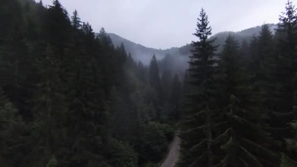 Fpv luchtfoto stilstaand vliegend schot over een landweg in het mistige bos in de berg. — Stockvideo