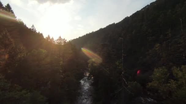 FPV鬱蒼とした緑の森と急速な動きで、自然の風景川の峡谷で空飛ぶダイナミックなショット。fpvヘリコプターからの撮影低キーの風景. — ストック動画