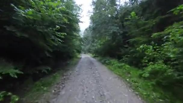 Fpv vuelo aéreo en barbecho disparo sobre un camino de campo en el bosque brumoso en la montaña. — Vídeos de Stock