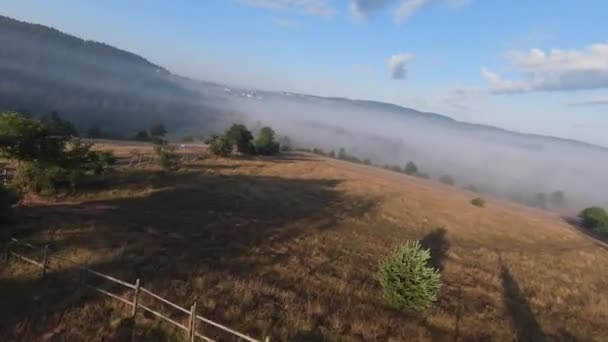 Повітряний дрон fpv летить в туманному лісі з ранковим туманом на сході сонця . — стокове відео