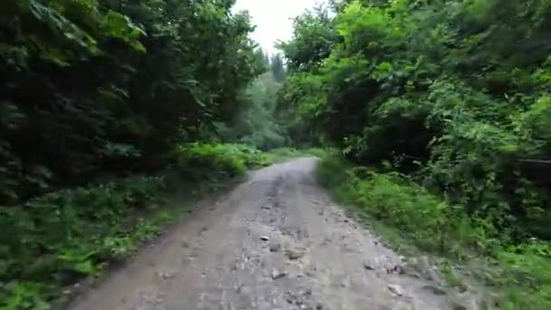 Fpv空飛ぶ落下は山の霧の森の田舎道で撃たれた. — ストック動画