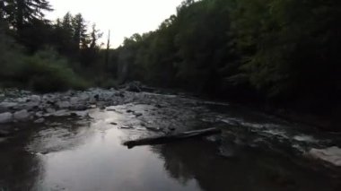 FPV Aerial yoğun yeşil orman ve hızlı hareket içinde doğal peyzaj nehir kanyonunda uçan dinamikleri çekti. Fpv helikopterinden çekiliyor..