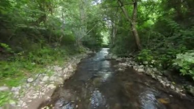 FPV Aerial yoğun yeşil orman ve hızlı hareket nehrindeki doğal peyzaj nehir kanyonunda dinamik uçuşu çekti. Hız suyu ve asfalt yolu ile helikopter manzaralı vadiden ateş ediliyor. 