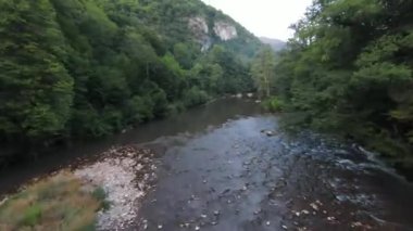 FPV Aerial yoğun yeşil orman ve hızlı hareket içinde doğal peyzaj nehir kanyonunda uçan dinamikleri çekti. Fpv helikopterinden çekiliyor..