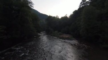 FPV Aerial yoğun yeşil orman ve hızlı hareket içinde doğal peyzaj nehir kanyonunda uçan dinamikleri çekti. Fpv helikopterinden çekiliyor..
