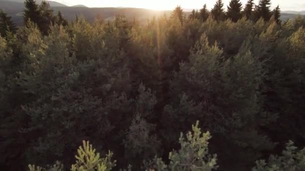 Aerian cinematic împușcat de mare viteză sport fpv drone care zboară peste stânca montană naturală înconjurat Uimitor natură teren stâncos cu vegetație verde la apus de soare sau răsărit . — Videoclip de stoc