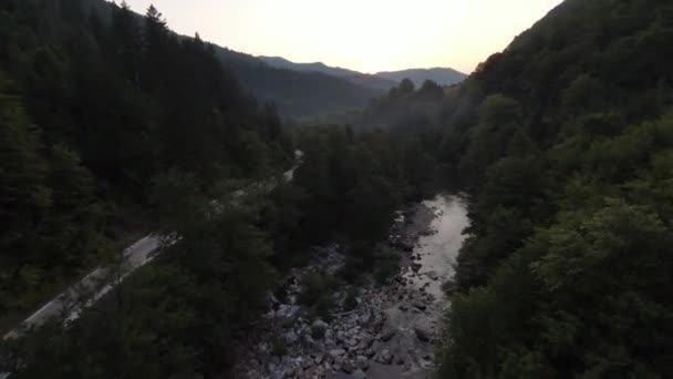 FPV Luchtfoto dynamisch vliegen op natuurlijke landschap rivier canyon in het dichte groene bos en snelle beweging. Schieten vanuit fpv helikopter low-key landschap. — Stockvideo