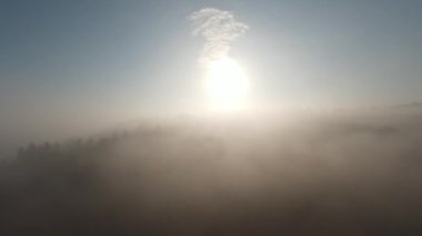 Hava FPV İHA 'sı sisli ormanda sabah sisli havada uçuyor.. 
