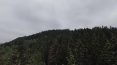 FPV hava aracı dağdaki sisli ormanın üzerinde uçuyor..