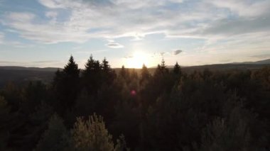 Hava sineması, yüksek hızlı fpv drone 'u doğal dağ uçurumunun üzerinde uçarken çekti. Gün batımında ya da gündoğumunda yeşil bitkilerle çevrili inanılmaz doğa kayalık arazi.. 