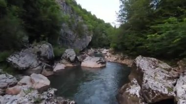 FPV Aerial yoğun yeşil orman ve hızlı hareket içinde doğal peyzaj nehir kanyonunda uçan dinamikleri çekti. Fpv helikopterinden çekiliyor..