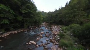 FPV Aerial yoğun yeşil orman ve hızlı hareket içinde doğal peyzaj nehir kanyonunda uçan dinamikleri çekti. Fpv helikopterinden çekiliyor..