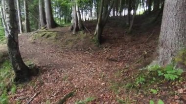 FPV hava aracı dağdaki sisli ormanın üzerinde uçuyor..