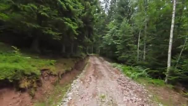 Fpv antenowy dron latający nad mglistym lasem w górach. — Wideo stockowe