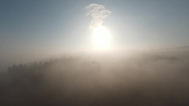 Dron aéreo fpv volando en el bosque brumoso con niebla matutina al amanecer. — Vídeos de Stock