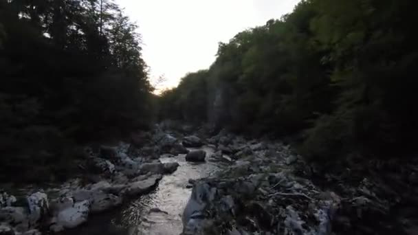 FPV鬱蒼とした緑の森と急速な動きで、自然の風景川の峡谷で空飛ぶダイナミックなショット。fpvヘリコプターからの撮影低キーの風景. — ストック動画