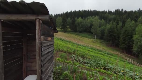 裏庭や庭の農村部の木造トイレ. — ストック動画